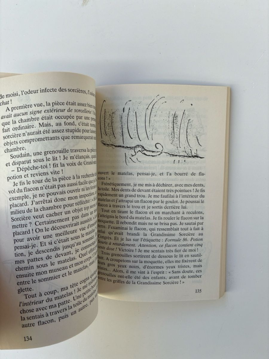 Libri: Sacrées Sorcières - Roald Dahl – Usato da Lucens venduto da metaD 2