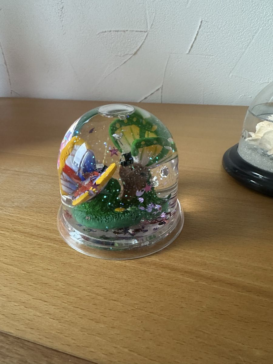 Tutte le decorazioni: Diverse Schneekugeln – Usato da Langnau aA venduto da Camelia14 1