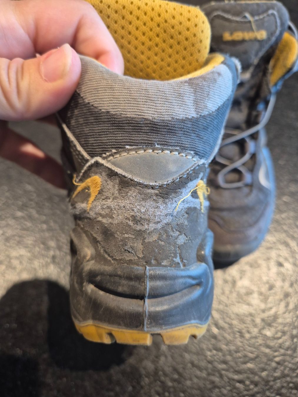 Lowa Scarpe per ragazzi: Wanderschuhe Lowa Gr. 28 – Usato da Zäziwil venduto da Fluh8 3
