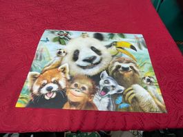 Kinder Tischset Unterlage Zoo Steward Robnison ca 30x40cm