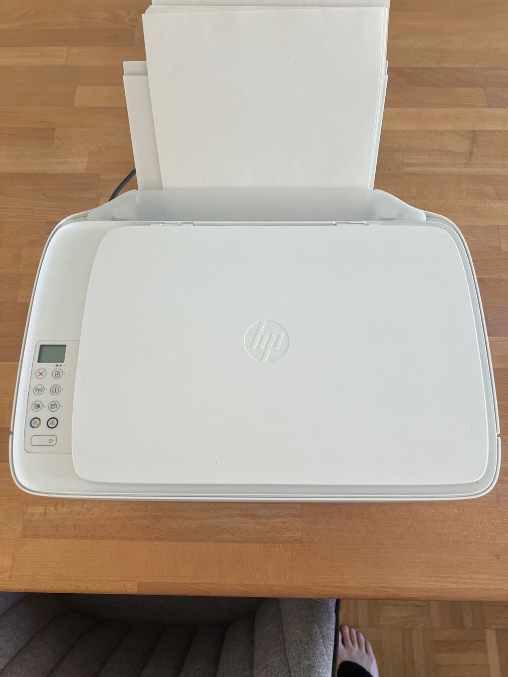 Stampanti: Drucker HP DeskJet 3636 – Usato da Zürich venduto da NiTo2021 1
