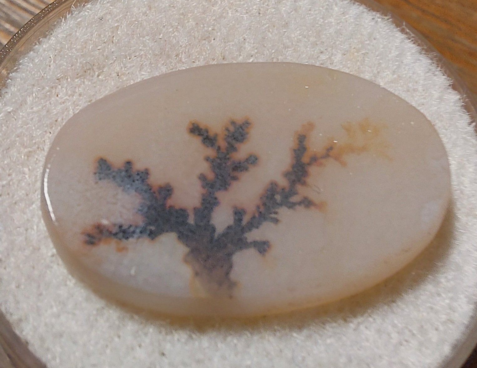 Pietre preziose: Ovaler Dendritenachat mit hübschem Baummotiv – Nuovo (secondo la descrizione) da Klingnau venduto da Tamina5 2