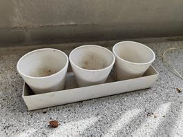 3er Set Blumentopf