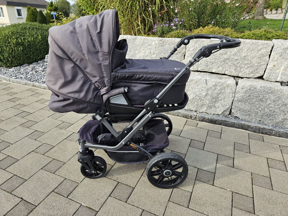 Teutonia Mistral S
