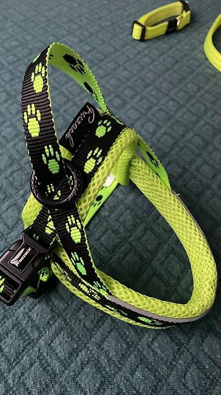 Guinzagli & Collari: Hundegeschirrset – Nuovo (secondo la descrizione) da Rothenburg venduto da Randy10 2