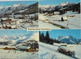 SAANENMÖSER-HORNBERG Funi-Schlitten