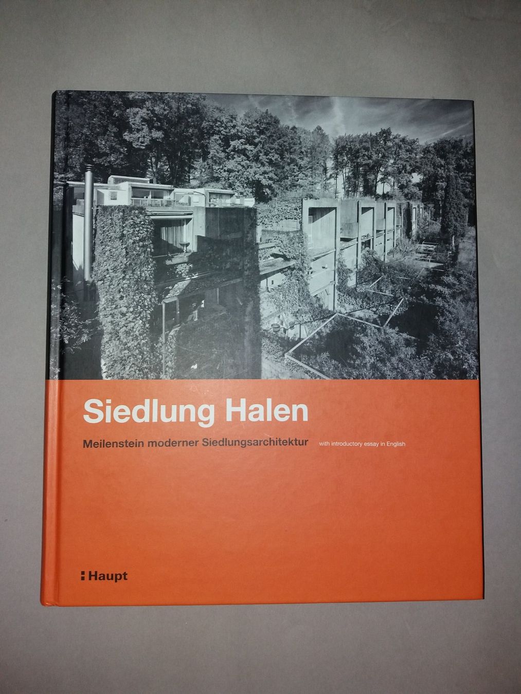 Libri: ARCHITEKTUR Siedlung Halen selten Schweiz – Usato da Welschenrohr venduto da Regool