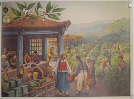 Historisches Schulwandbild  – Tee (Thea viridis) – um 1900