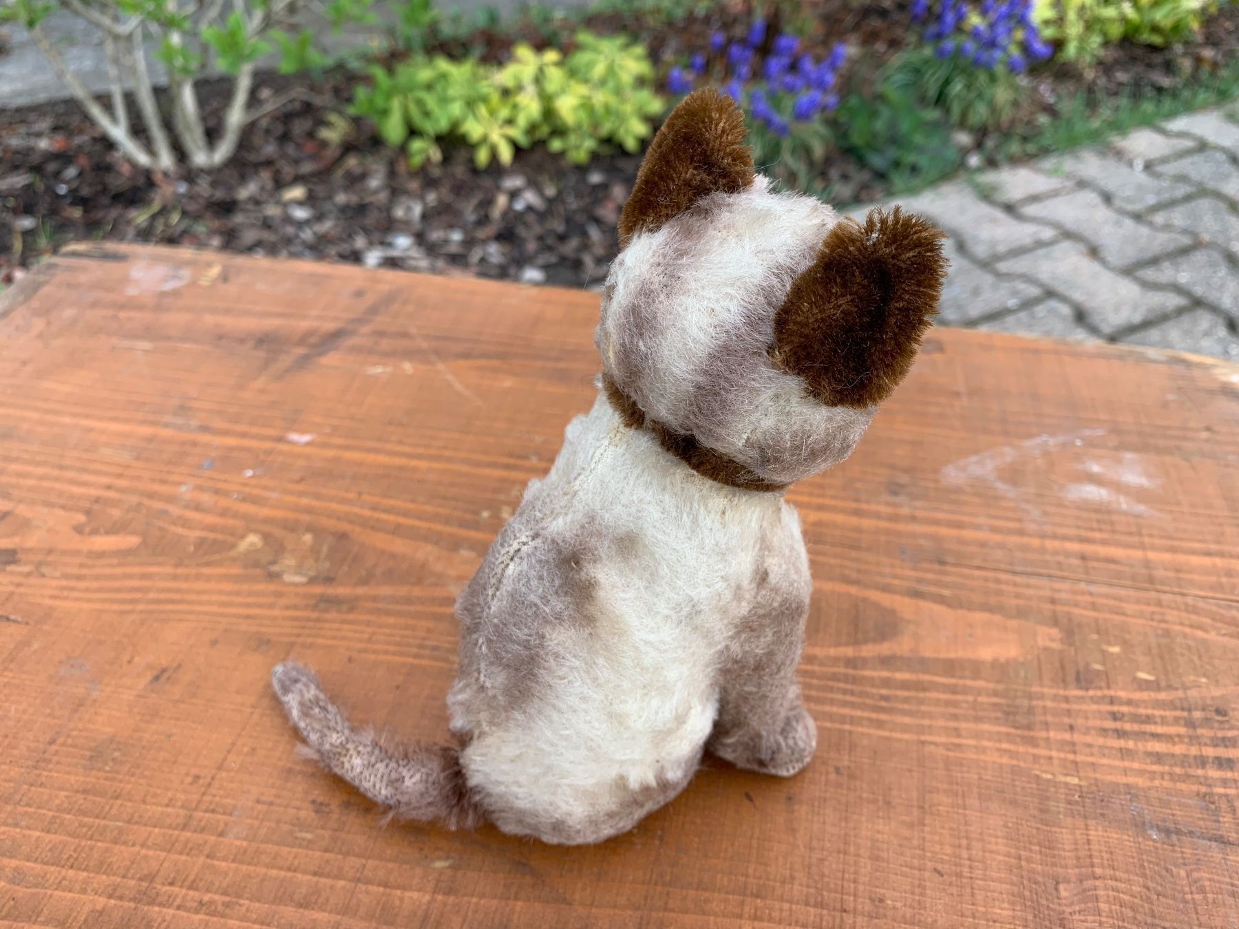 Steiff Giocattoli: seltene Steiff Siamy Siamesen Katze – Usato da Feldbach venduto da Olive1 4