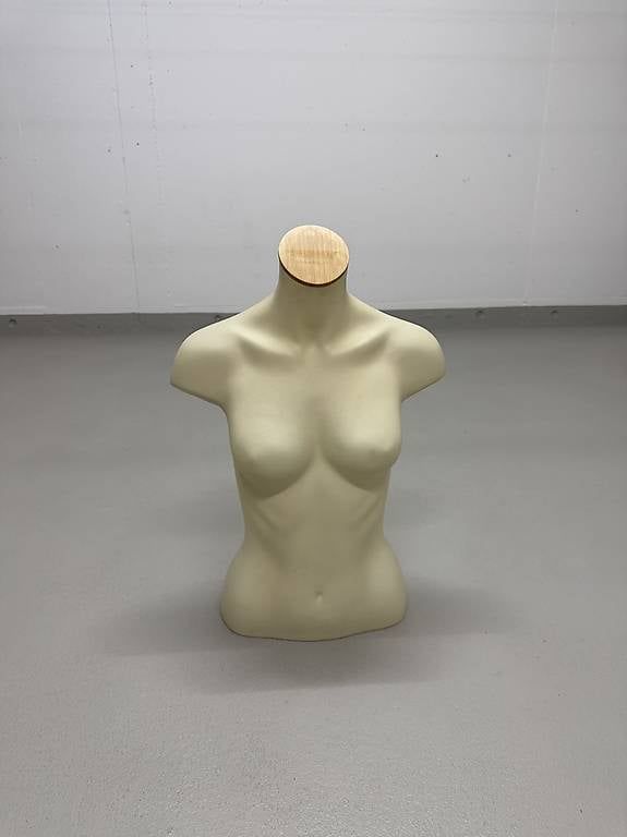 Altro in Decorazioni & Accessori: Torso – Usato da Fislisbach venduto da dreams02