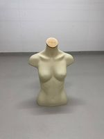 Torso