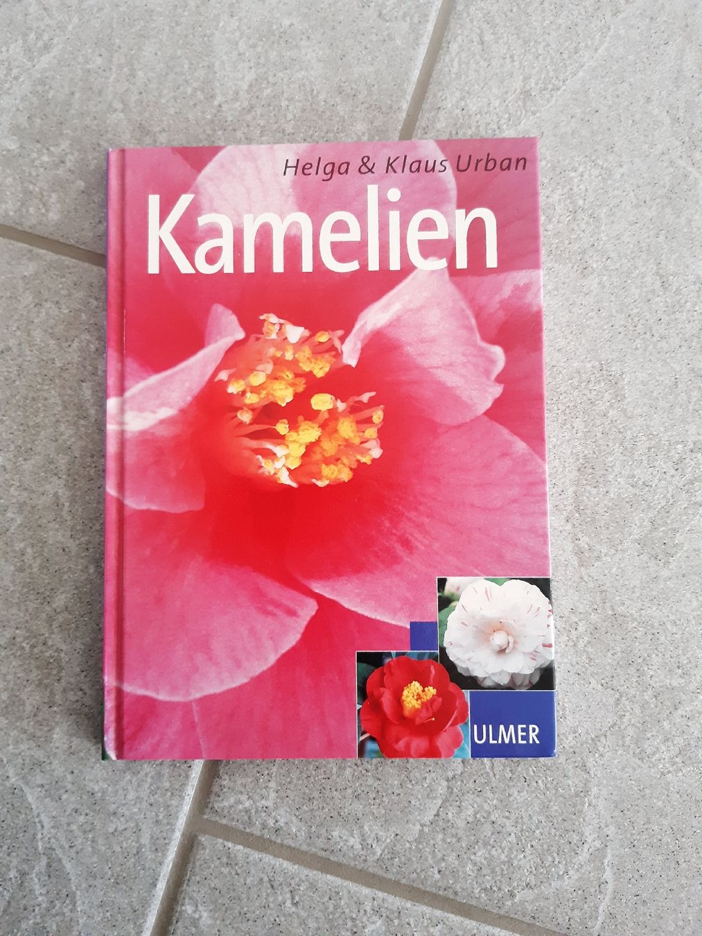 Bücher: blumenbuch kamelien – Neu (gemäss Beschreibung) aus Nebikon von Haidihooo