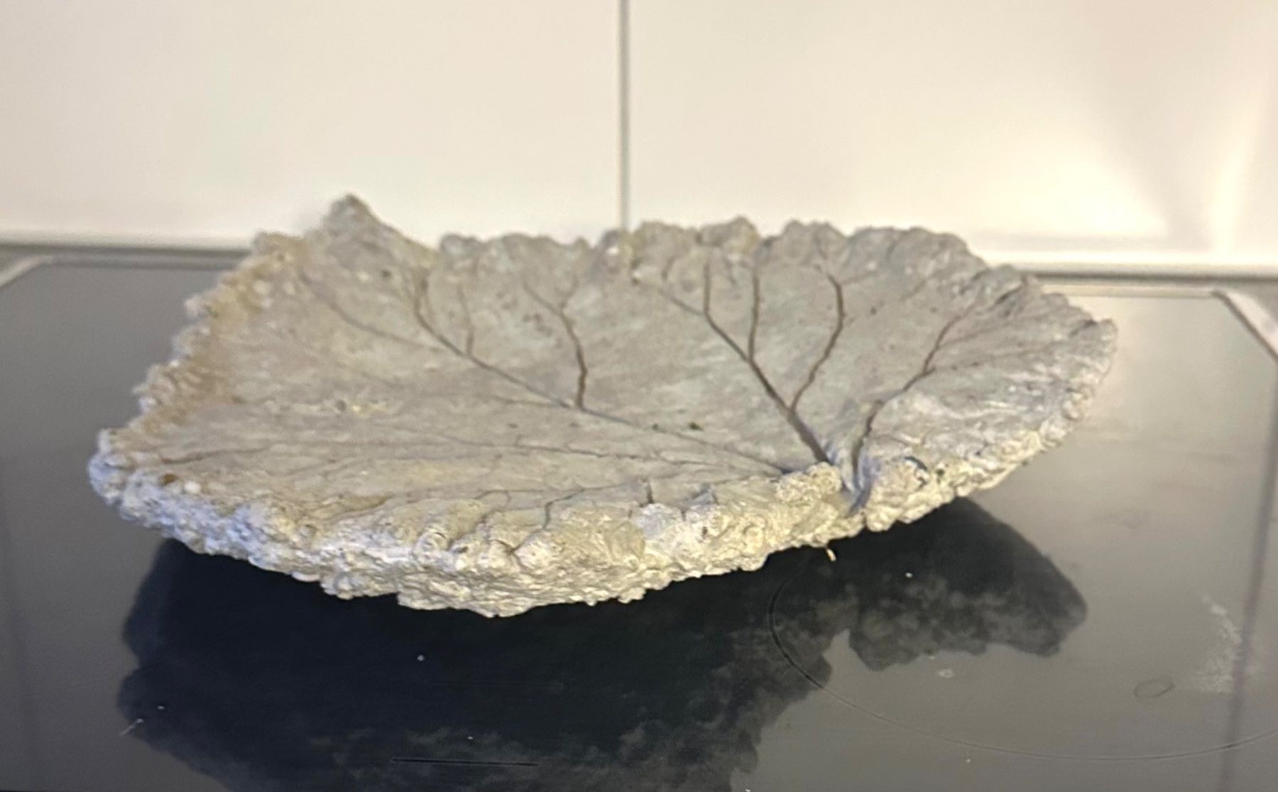 Alle Dekorationen: Früchteschale Betonblatt – Gebraucht aus Zürich von brazerola 4