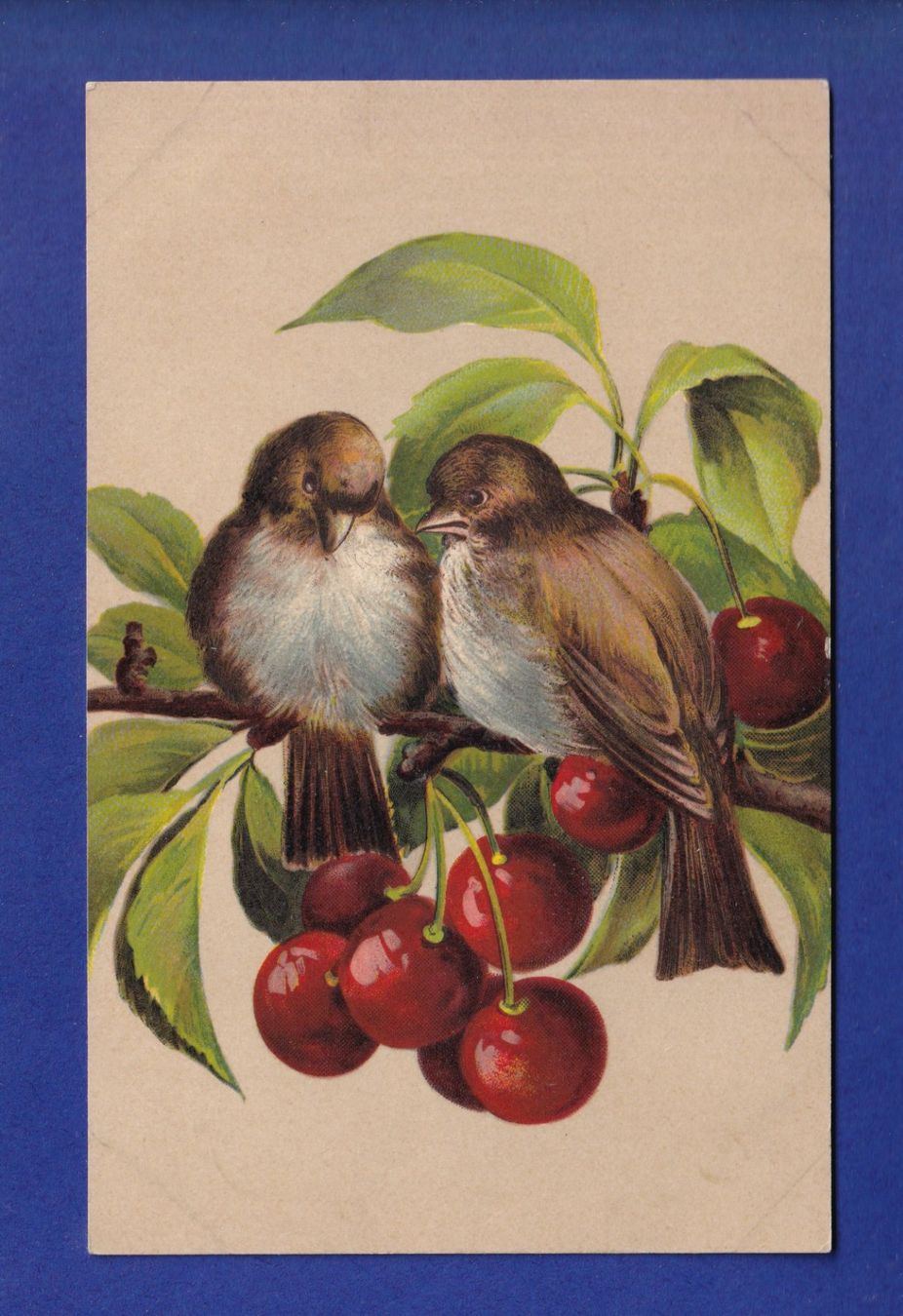 Cartoline postali: OISEAU - Moineaux – Usato da Pully venduto da nicecards-shop