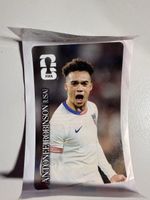 Panini WM 2026 Coca Cola CC12 Antonee Robinson