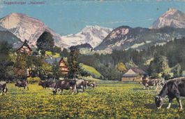 Toggenburg Heimetli