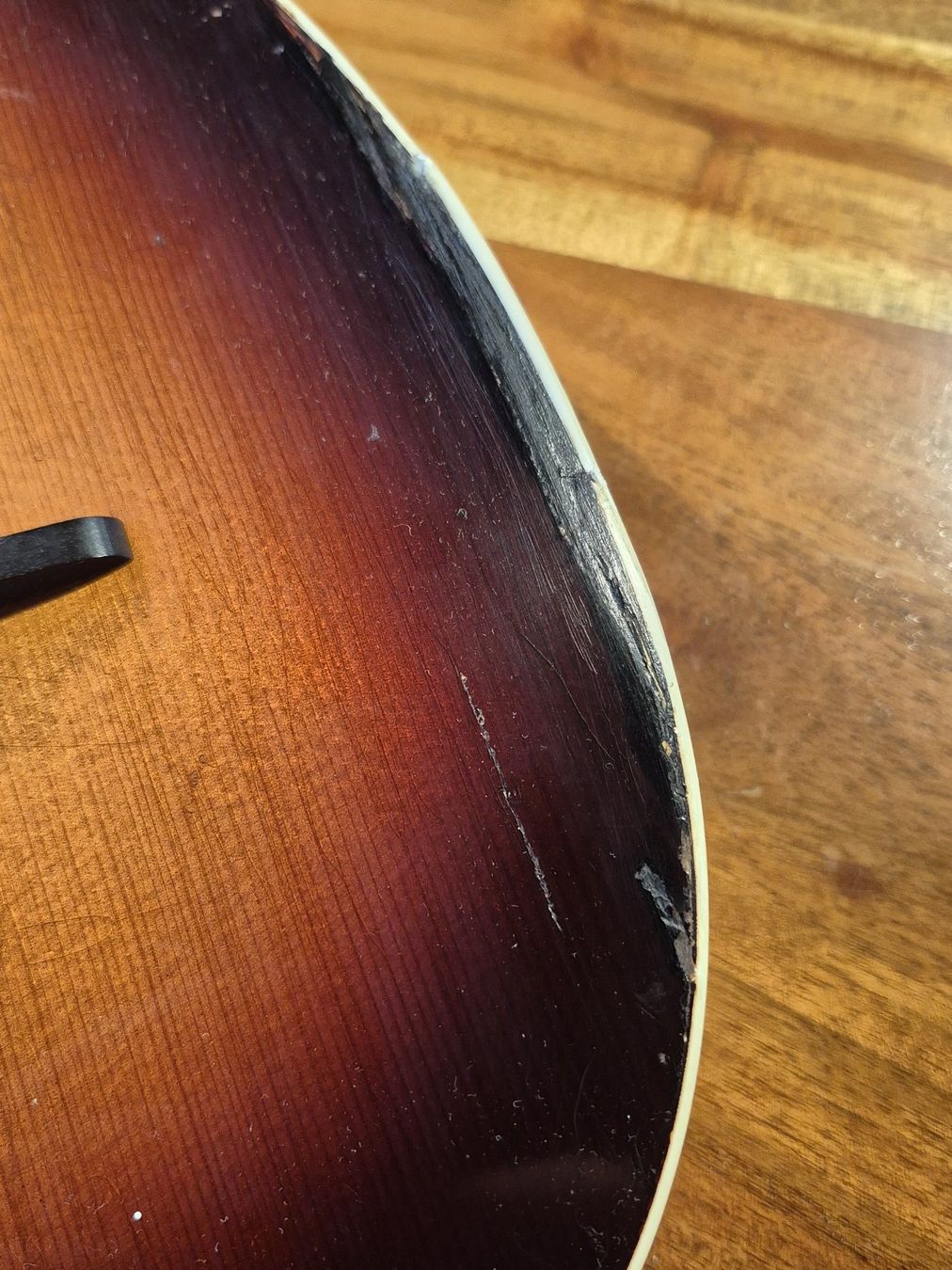 Strumenti musicali: Mandoline Levin 54 Taranto 1963 – Usato da Winterthur venduto da NorrSydGuitars 5