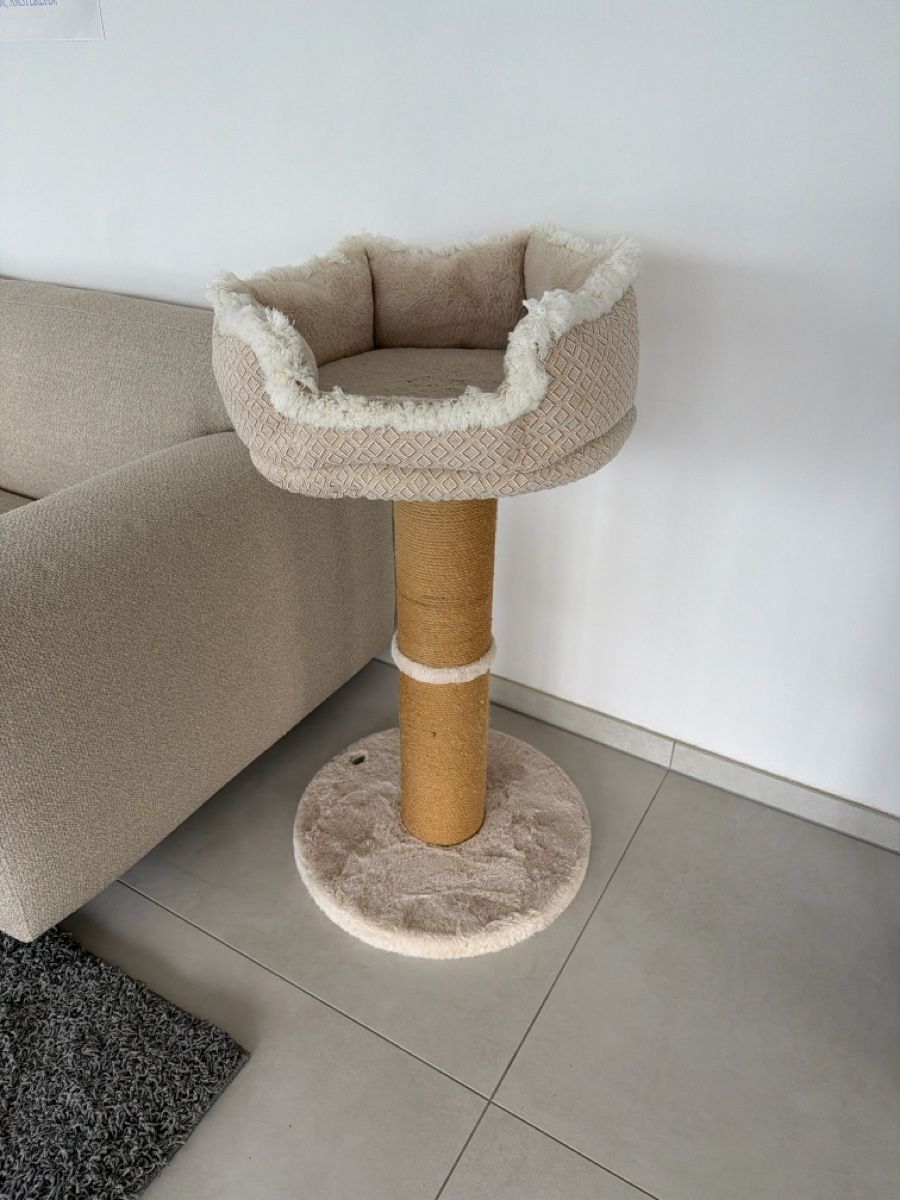 Katzenbaum - Kratzbaum: 2 Katzekratzbäume – Gebraucht aus Niederried Interl von robbie74
