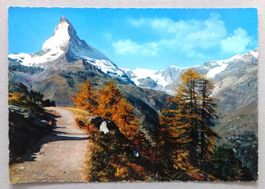 Matterhorn (4478 m) von der Riffelalp aus