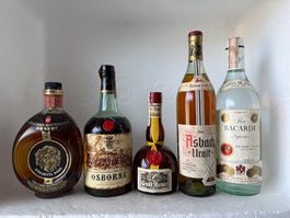 Spirituosen Lot Vecchia Romagna Osborne Asbach Bacardi Grand
