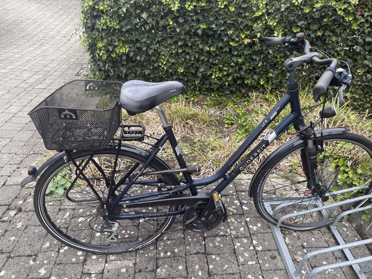 Velos: Velo - gratis – Defekt aus Hedingen von Jasmina 1