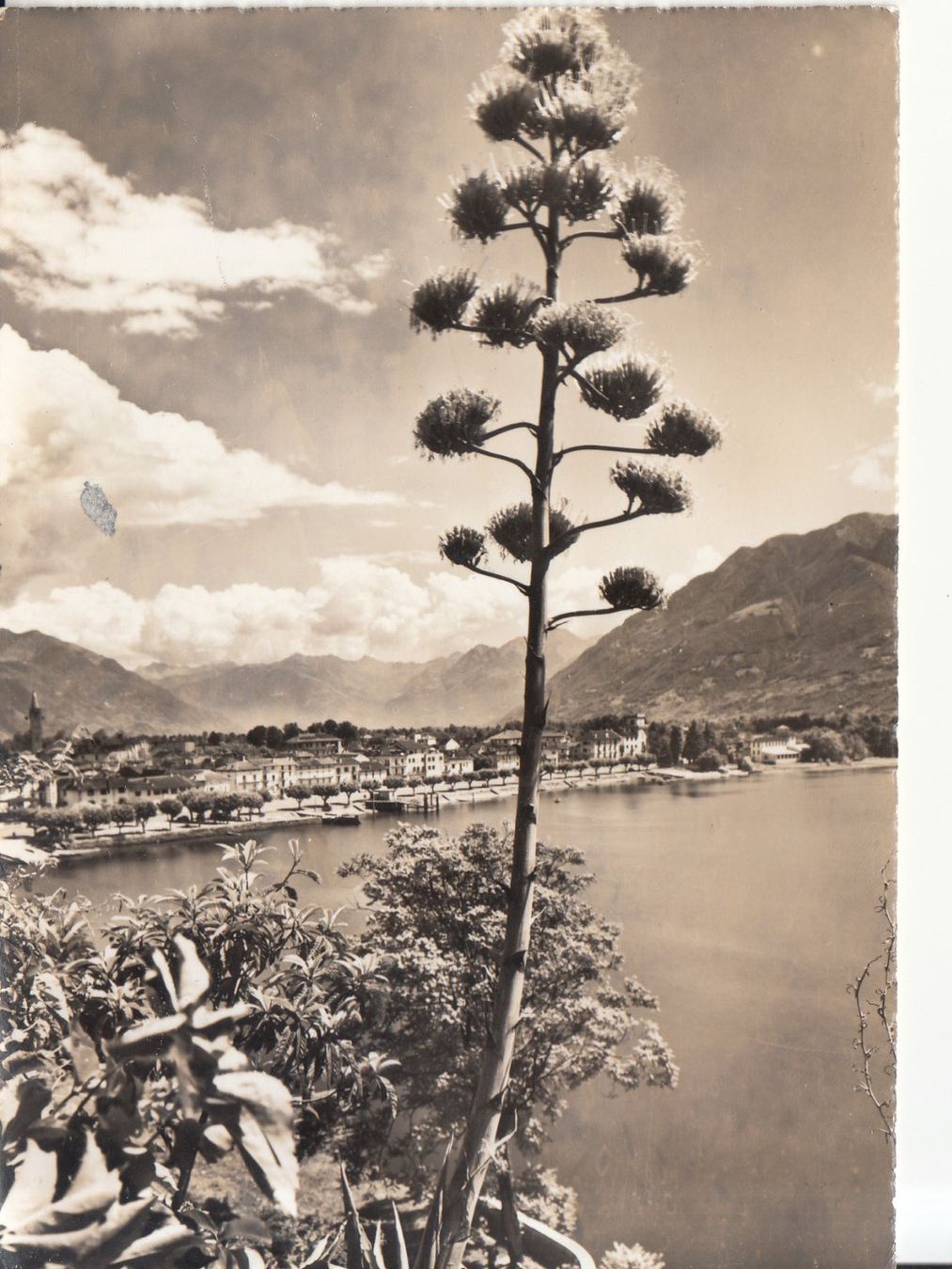 Cartoline postali: Ascona 1958 – Usato da Bürglen TG venduto da StampGraf