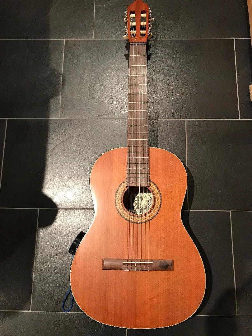 Strumenti musicali: Bluetooth - Gitarre ! der Partyhit! – Usato da Bonaduz venduto da Mikebond 1