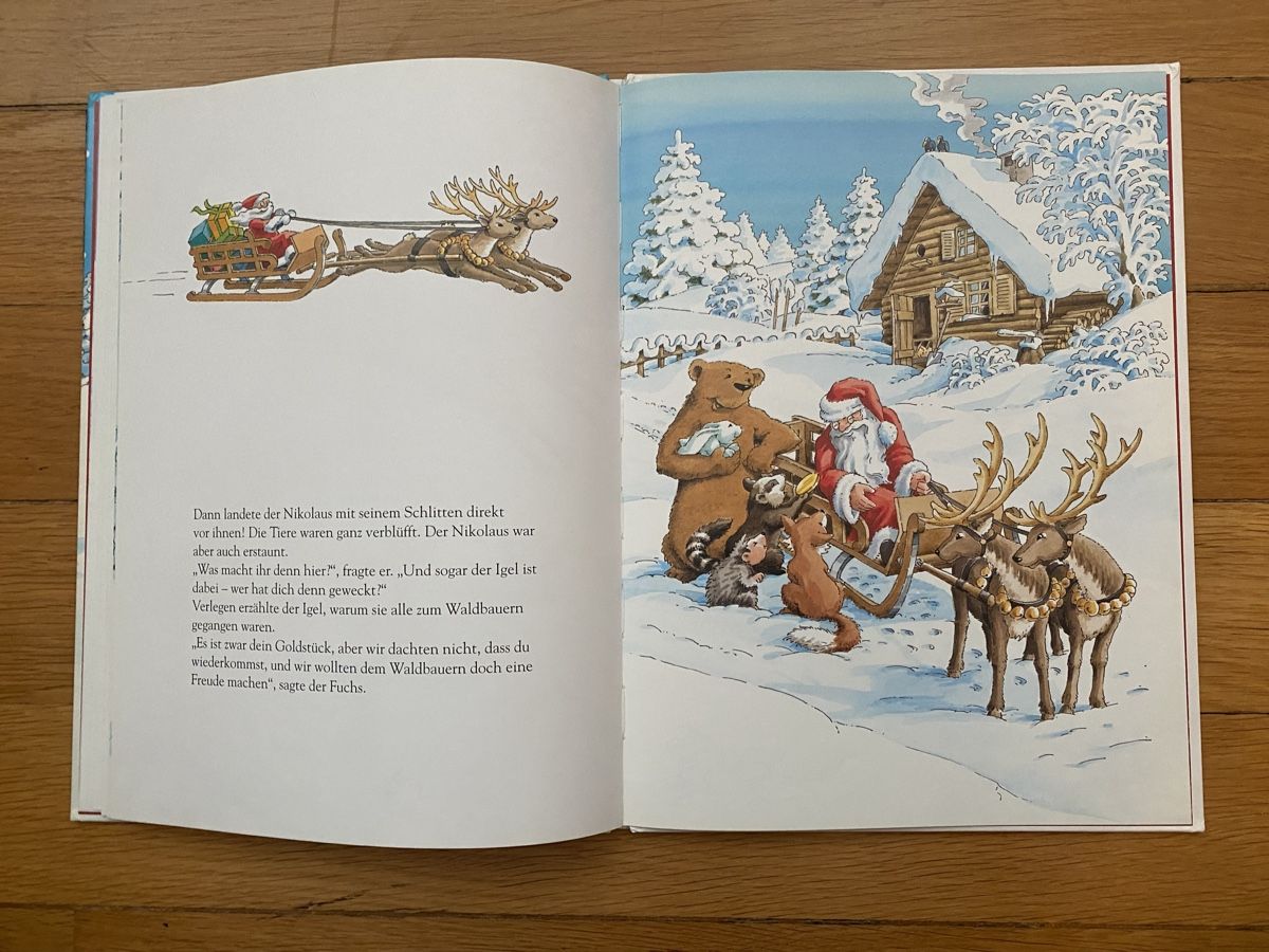 Libri: Der Nikolaustaler, Udo Weigelt – Usato da Muttenz venduto da Bugijeta 6