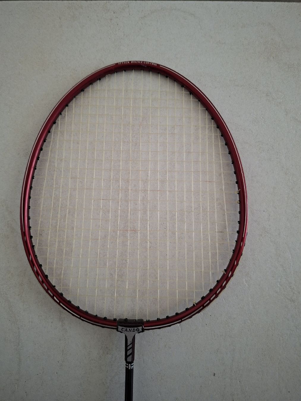 Raquettes: Badmintonschläger Set 2 Stk Cando Full Graphite Schaft Champ – D'occasion à Uster par mak_mw2n 3