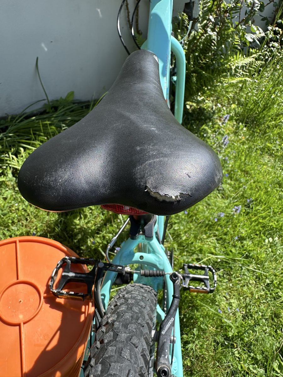Pyro Biciclette: Velo Pyro 26 – Usato da Blonay venduto da Fireman73 8