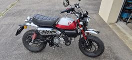 Honda Monkey – Top Zustand, frisch ab MFK (1450 km) 5-Gang