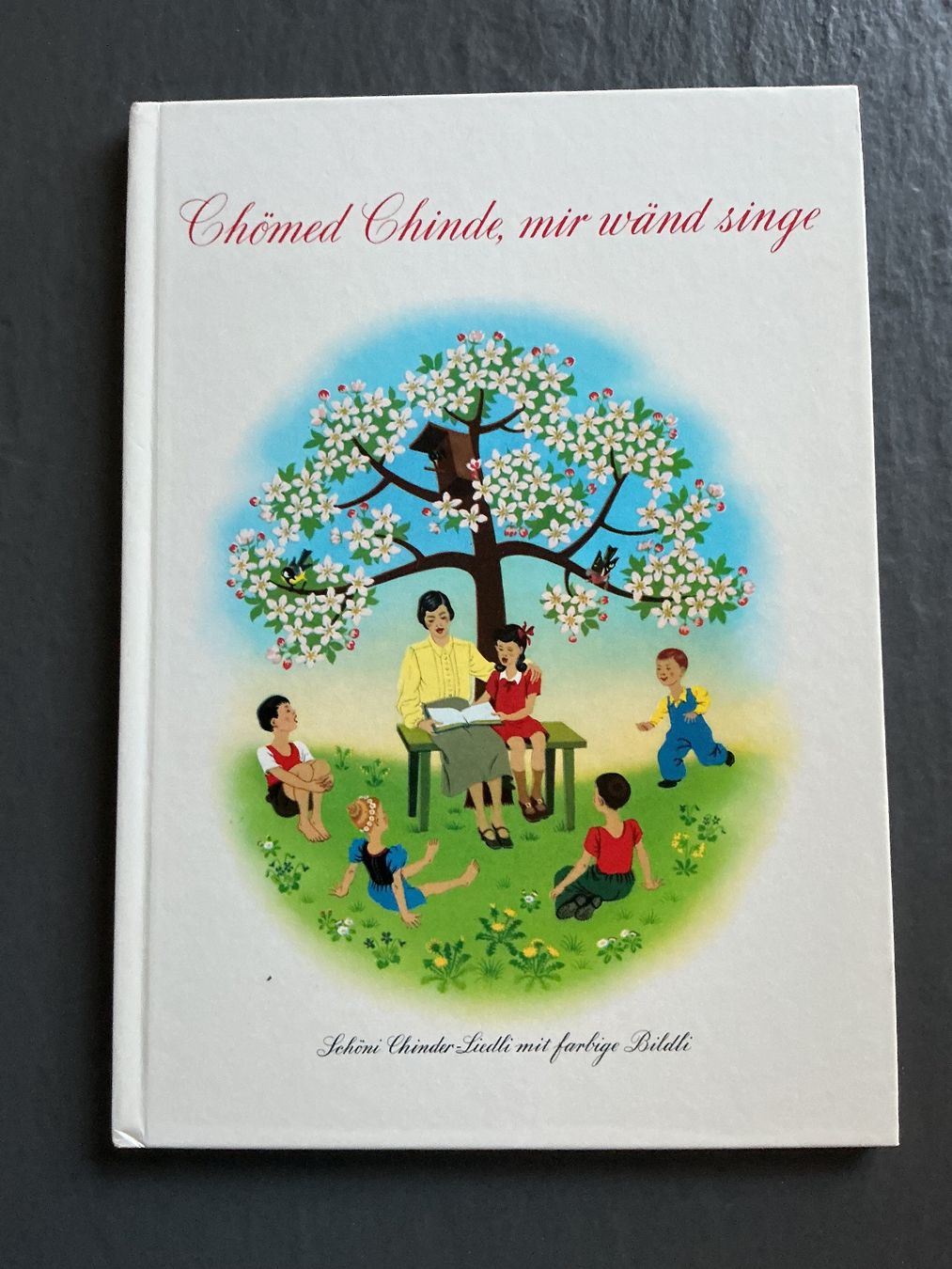 Libri: Chömed Chind mir wänd singe – Usato da Niederhasli venduto da ercp4