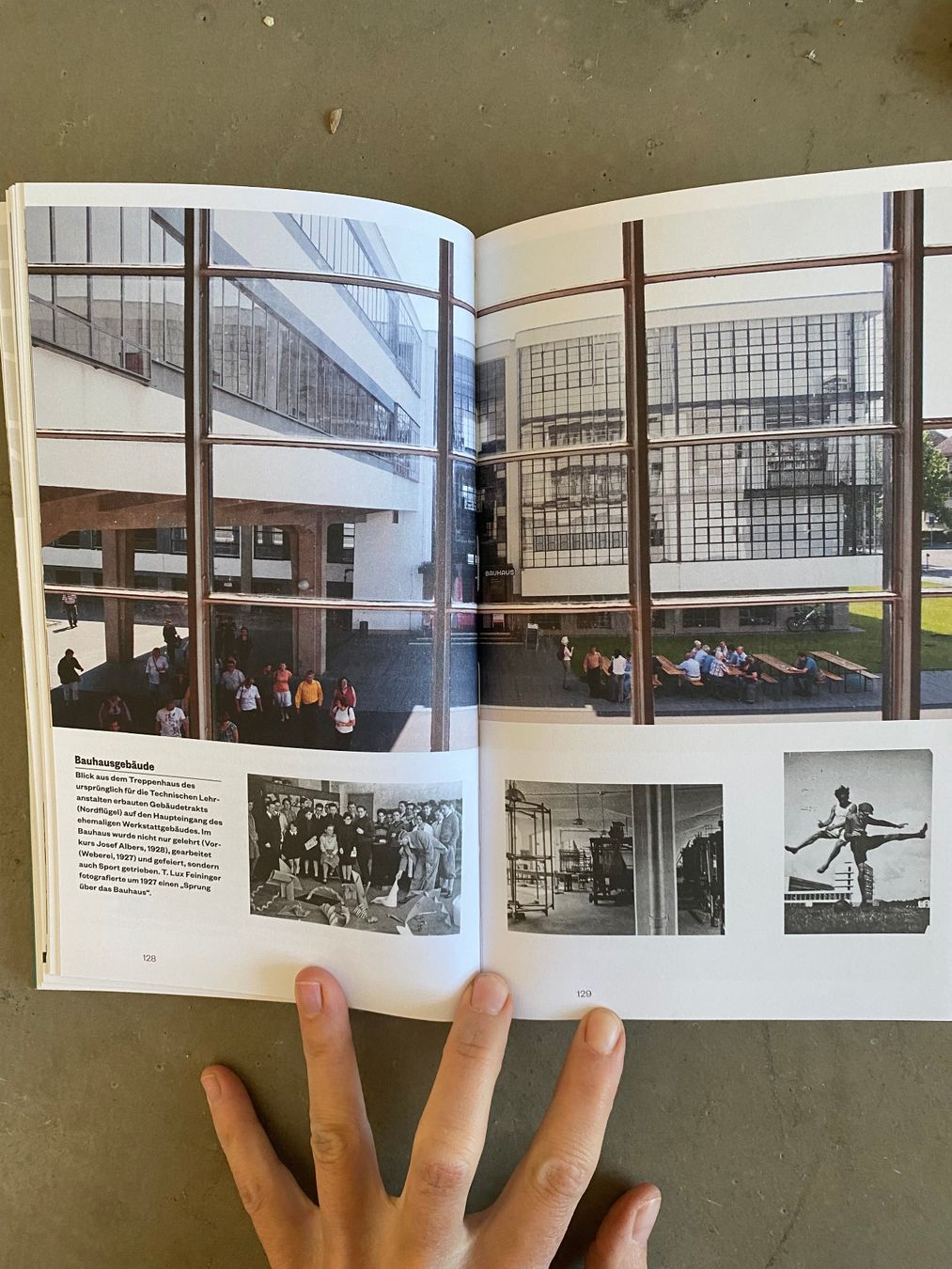 Libri: Das Bauhaus-Reisebuch Weimar Dessau Berlin – Usato da Zürich venduto da fritzfranzantoni 4
