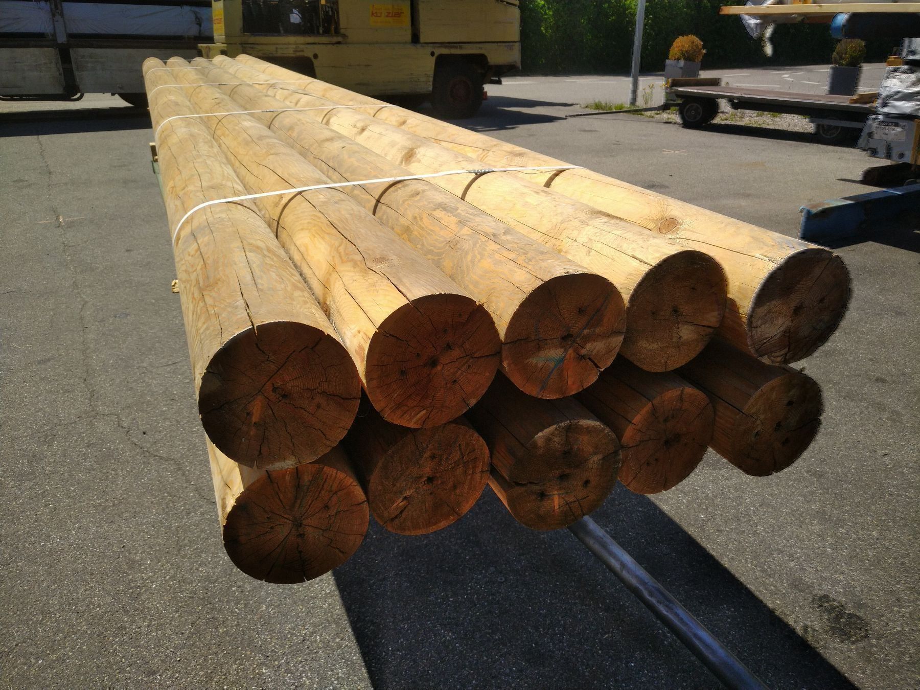 Holzartikel: Palisaden Pfähle Rundholz Träger Lärche – Gebraucht aus Basel von e-swiss 2