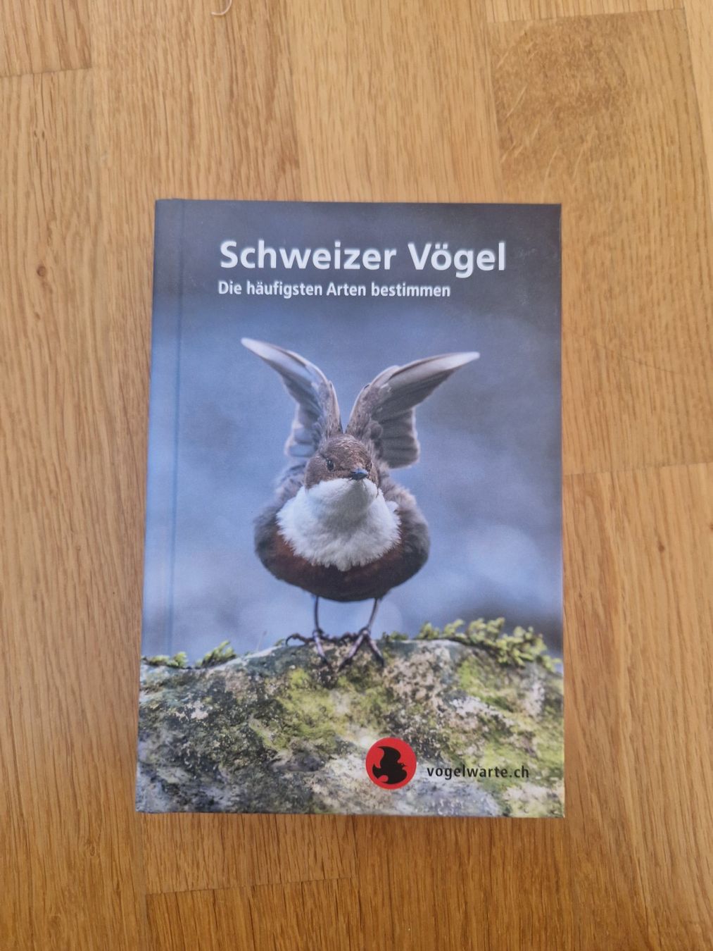 Libri: Neu: Buch Schweizer Vögel – Nuovo (secondo la descrizione) da Buchs Sg venduto da Valedi
