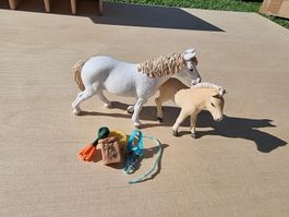 Schleich Set Pferd und Fohlen
