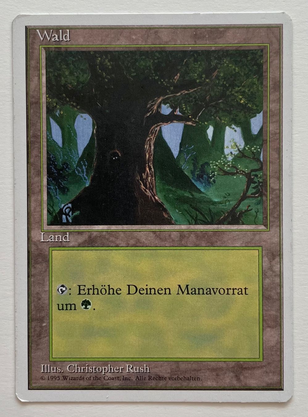 Cartoline: MTG - Wald – Usato da Zürich venduto da T_H_O_M_A_S