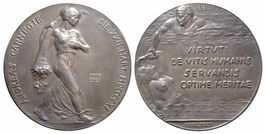 Silbermedaille 1911, Carnegie Foundation
