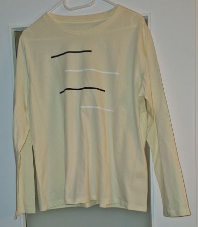 pull pour femme XL (Neuf)