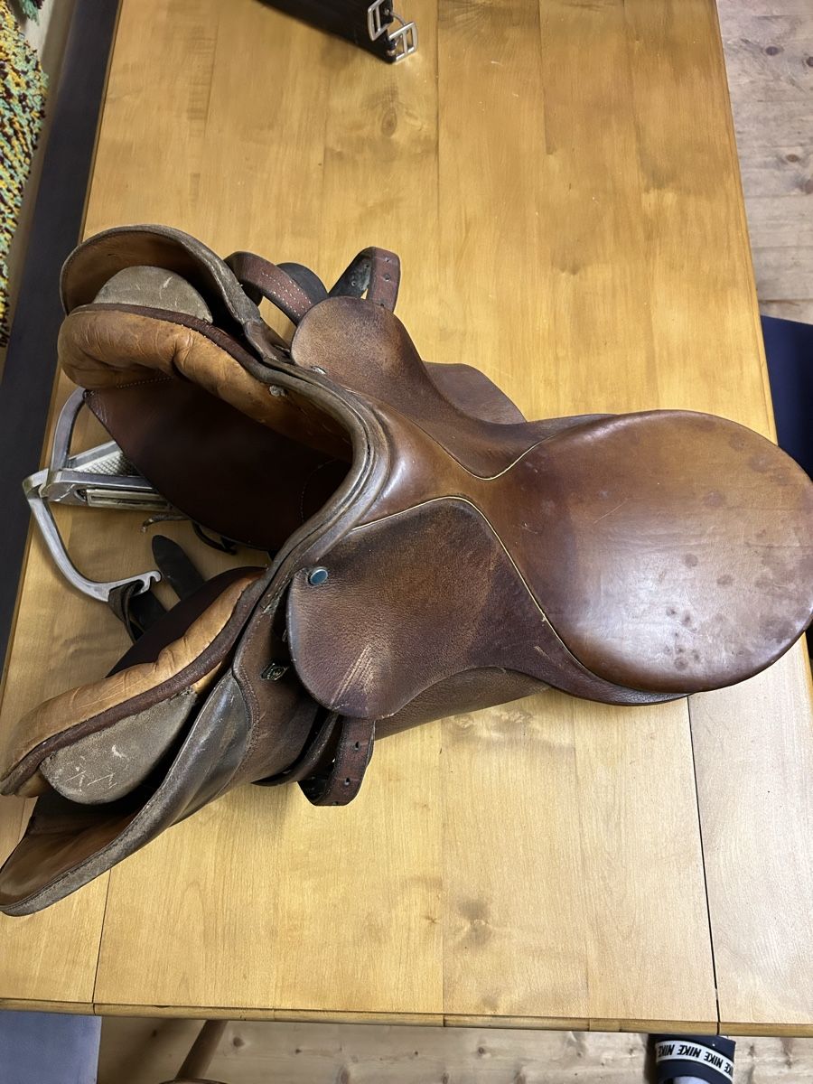 Sattel & Sattelzubehör: Reitsattel – Gebraucht aus Bellach von Veritas4 3