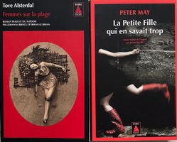 2 romans policiers éditions Babel Noir