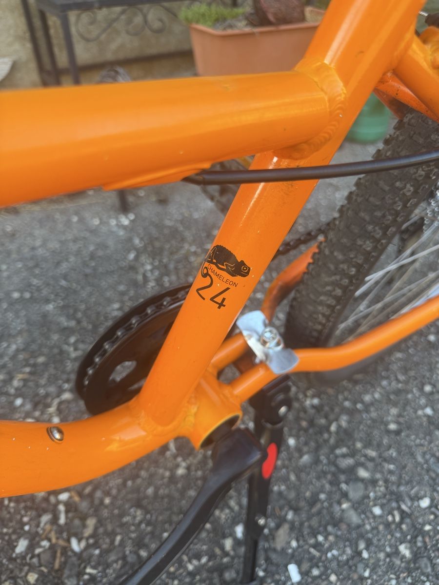 Naloo Biciclette: Naloo Chameleon 24 Zoll – Usato da stallikon venduto da Guetze1990 3