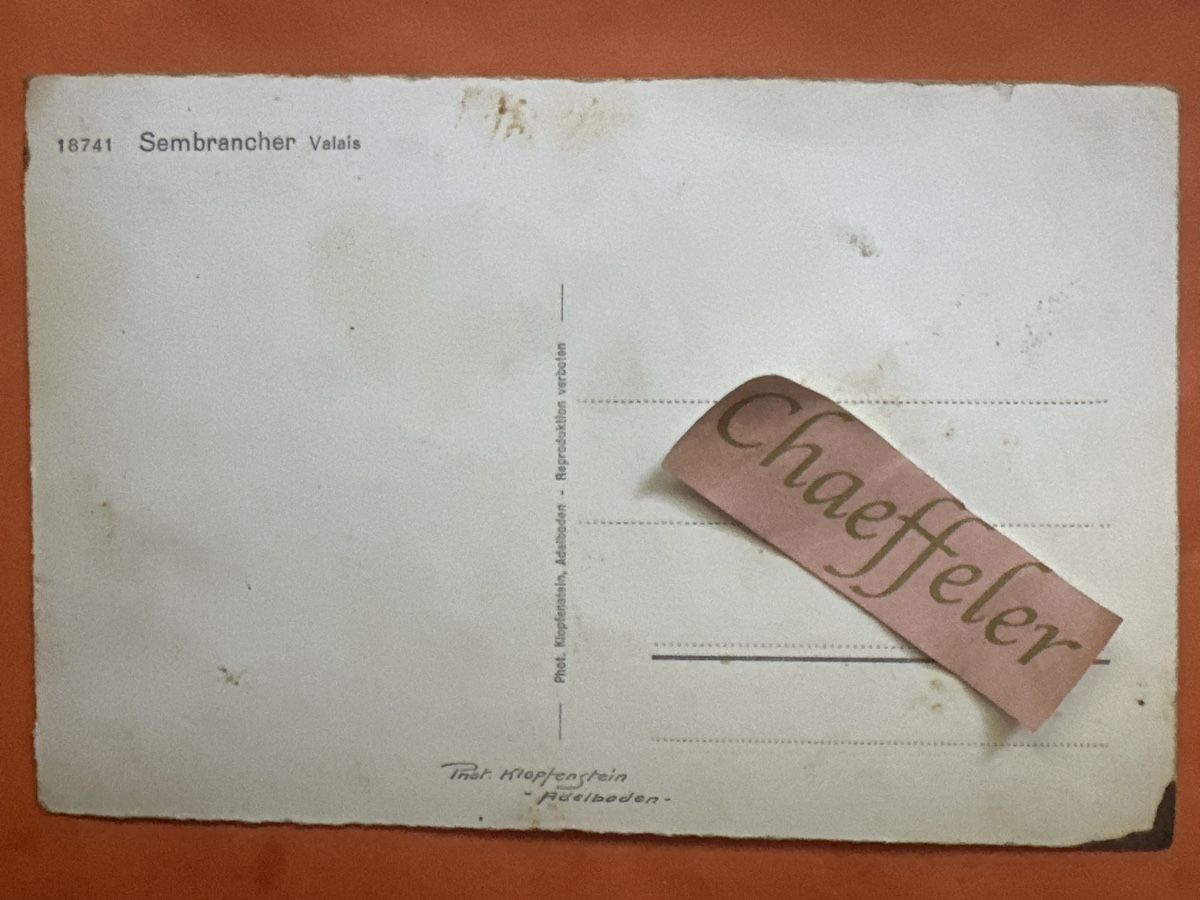 Ansichtskarten: 18741 Seebarscher, Valais – Gebraucht aus Zürich von Chaeffeler 1