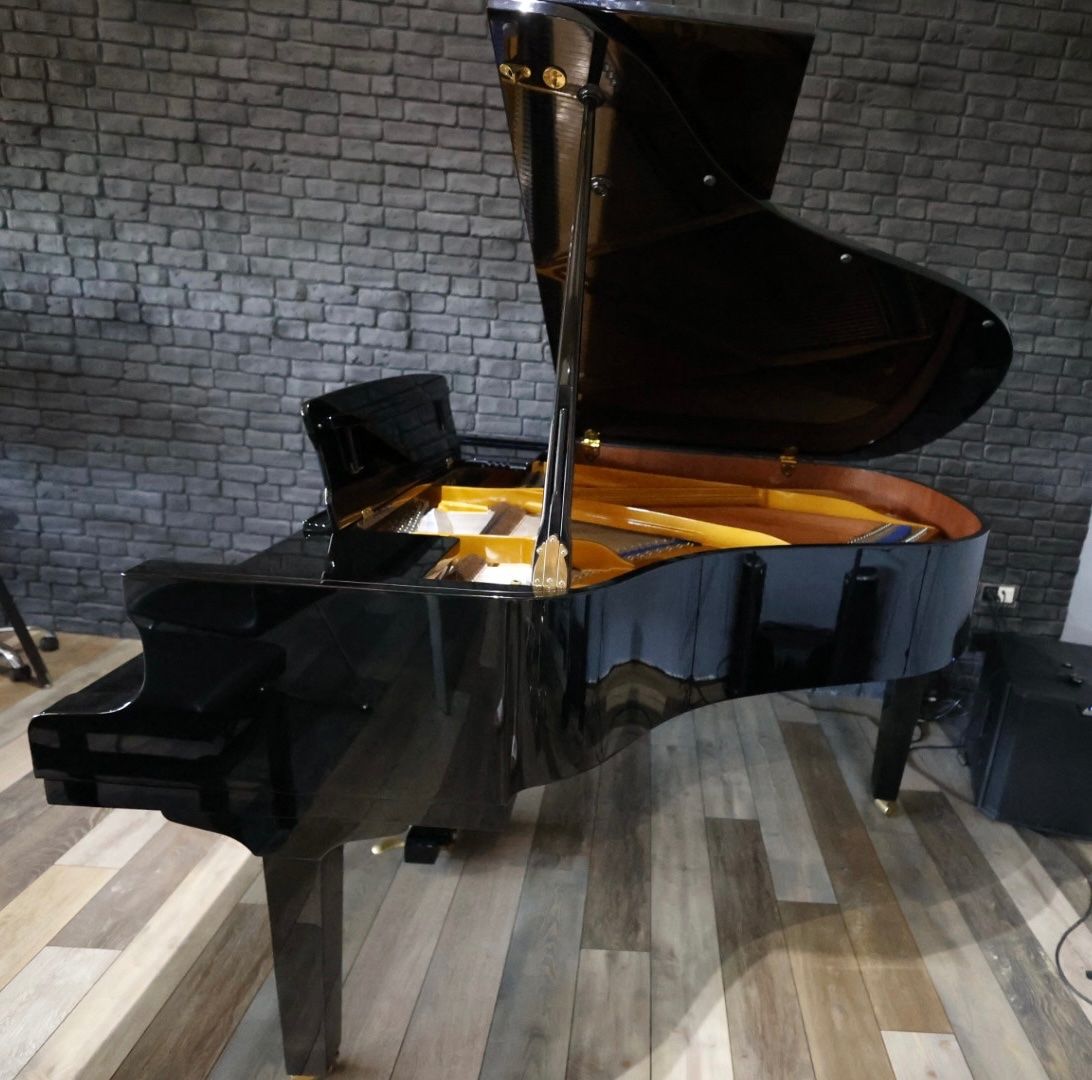 Strumenti musicali: Piano à queue Zimmerman Model Z173 Noir Brillant – Usato da Bassins venduto da oal_q2gl 5