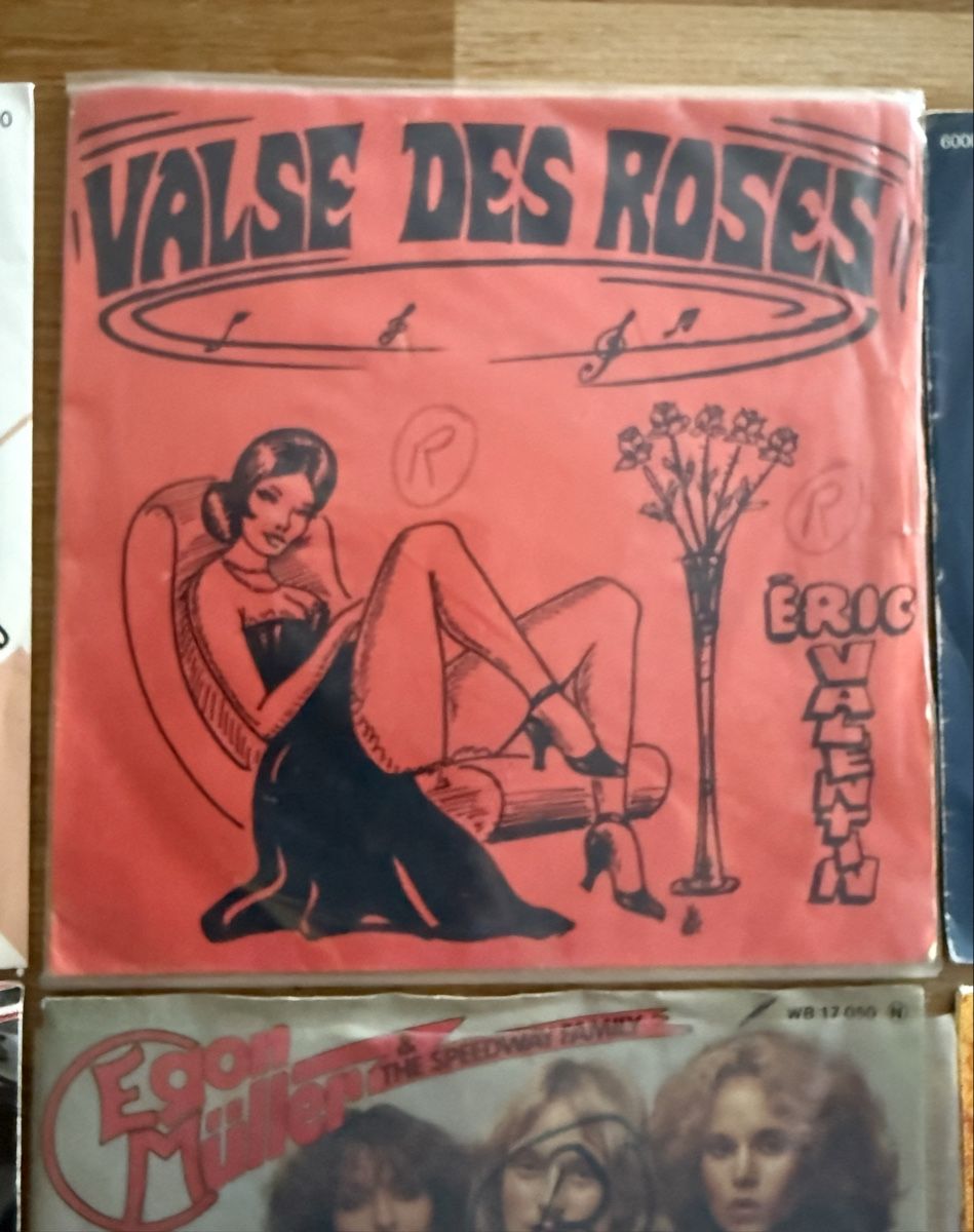 Schallplatten: Single Schallplatten Sammlung – Gebraucht aus Goldach von Messerguru 5