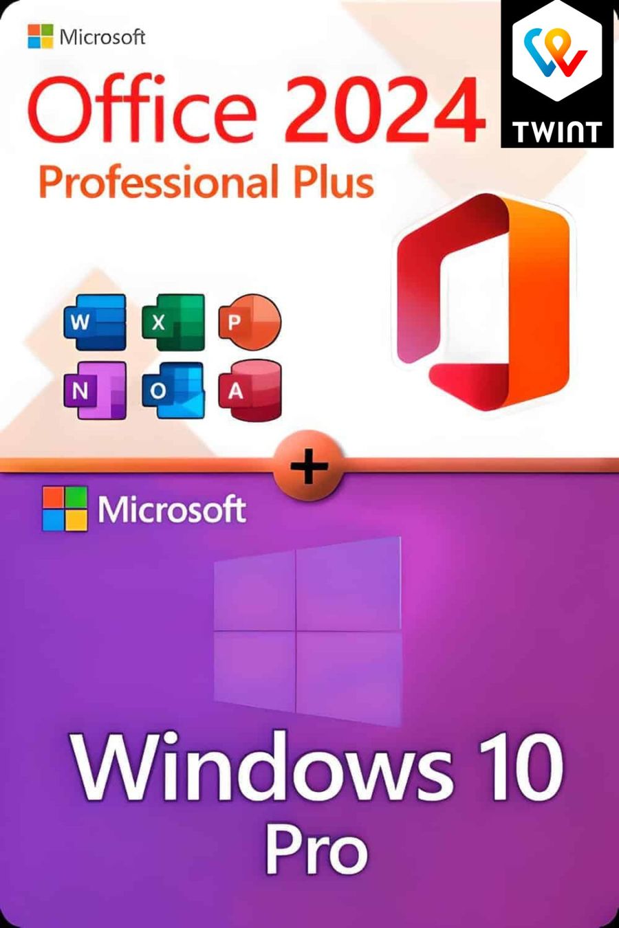 Microsoft Software: Microsoft Windows 10 Pro & Office 2024 Professional Plus – Usato da Reconvilier venduto da Vizioteck
