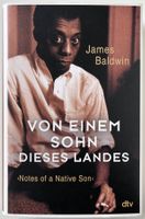 Von einem Sohn dieses Landes – James Baldwin – dtv – Top