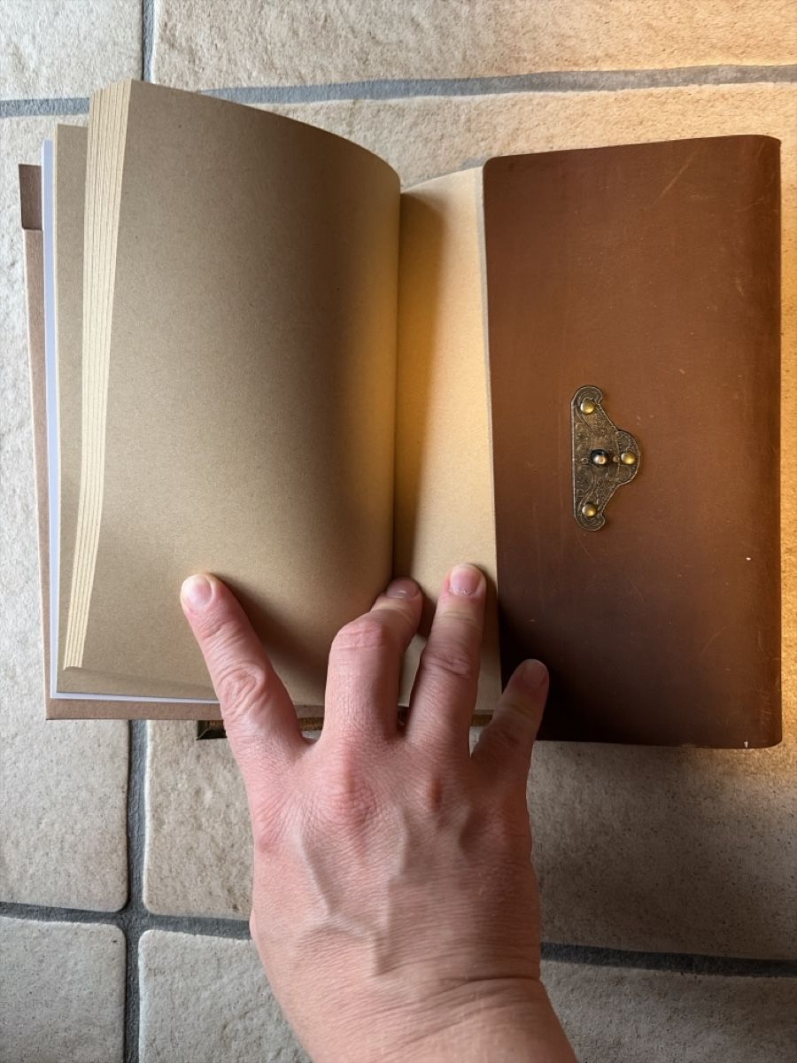 Libri: Notizbuch mit Ledereinband – Nuovo (secondo la descrizione) da Neuägeri venduto da mai_9nd6 1