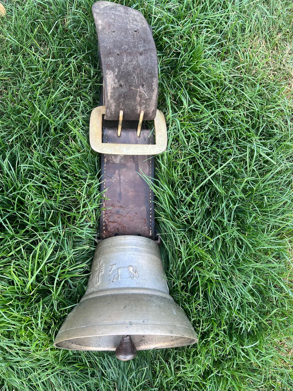 Campanacci mucche: Schwere Glocke..Chue und Hirt – Usato da Steckborn venduto da Holiday66
