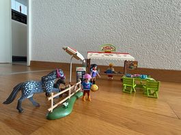 Playmobil Country